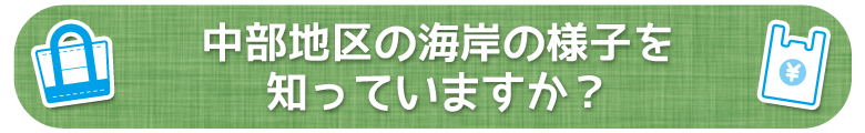 中部地区の海岸の様子を知っていますか？