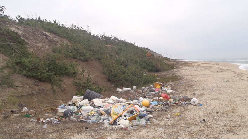 【北栄町】海岸清掃で集まった漂着ゴミ